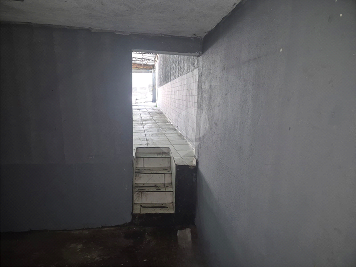 Foto REO1119286
