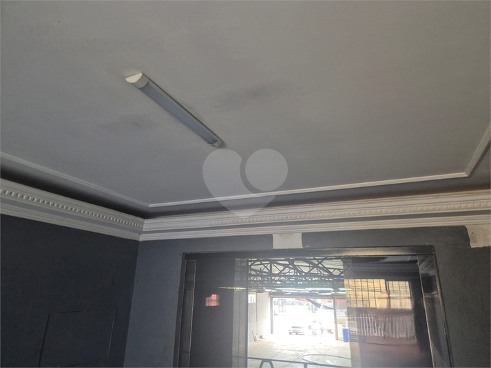 Foto REO1119286