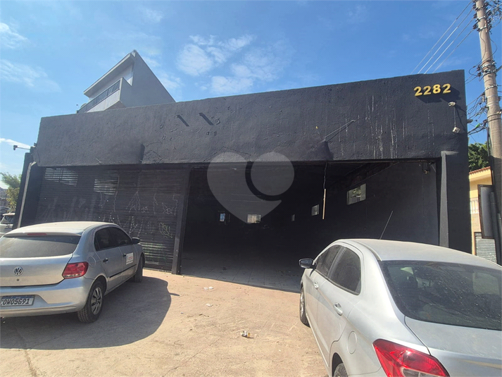 Foto REO1119286