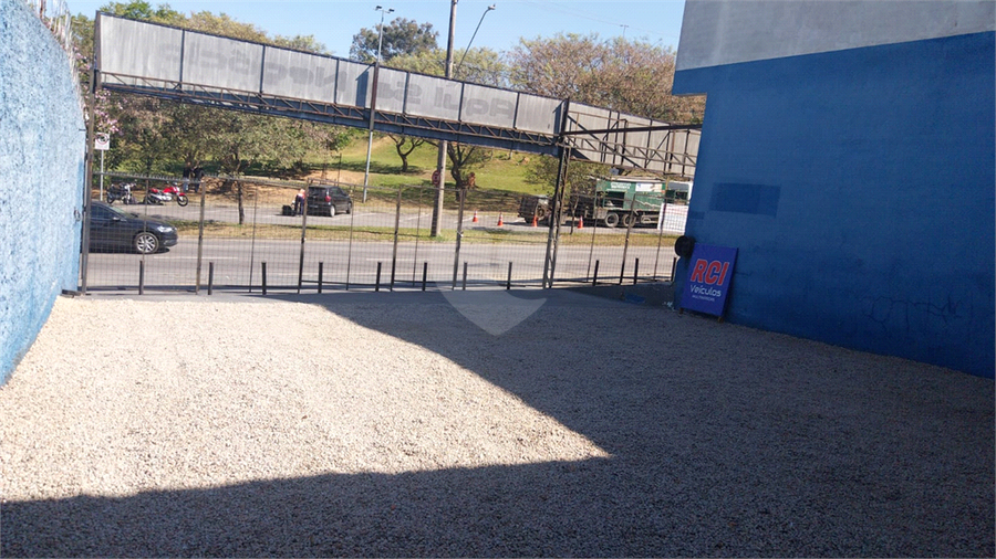 Foto REO1119307