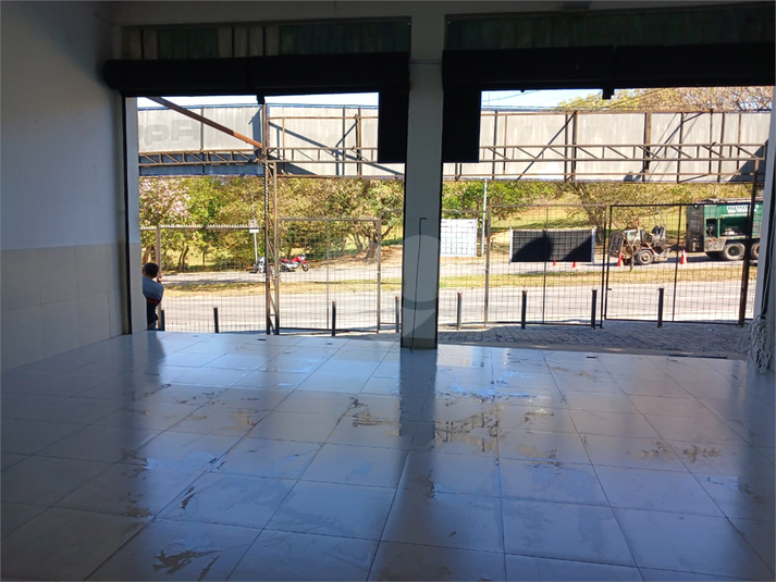 Foto REO1119307