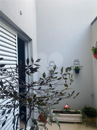 Foto REO1119310