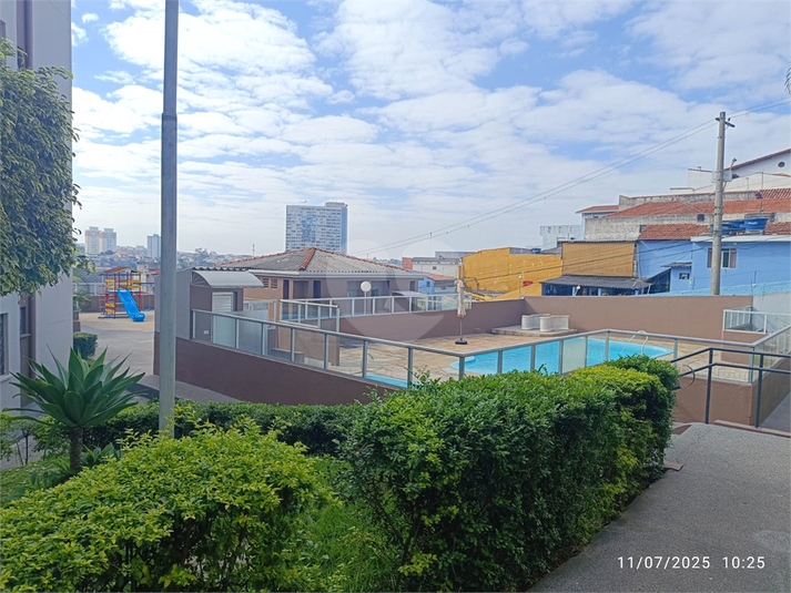 Foto REO1119312