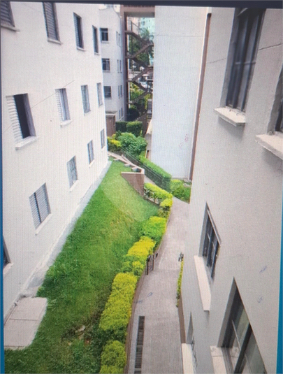 Foto REO1119312
