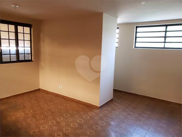 Foto REO1119314