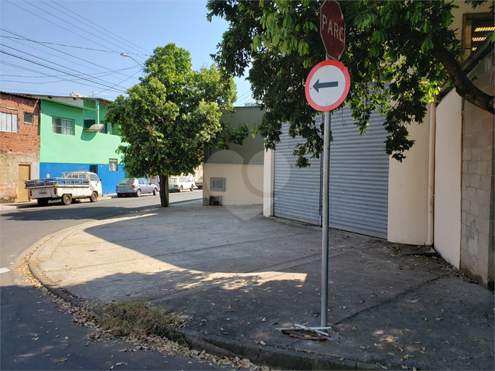 Foto REO1119314