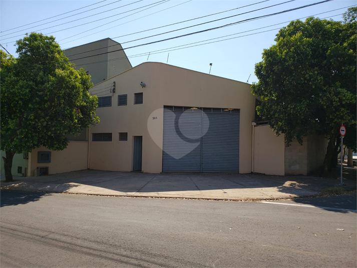 Foto REO1119314