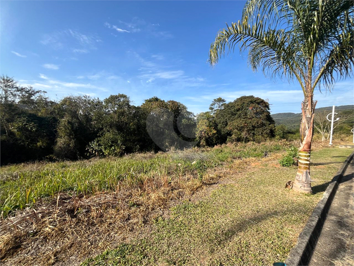 Foto REO1119317