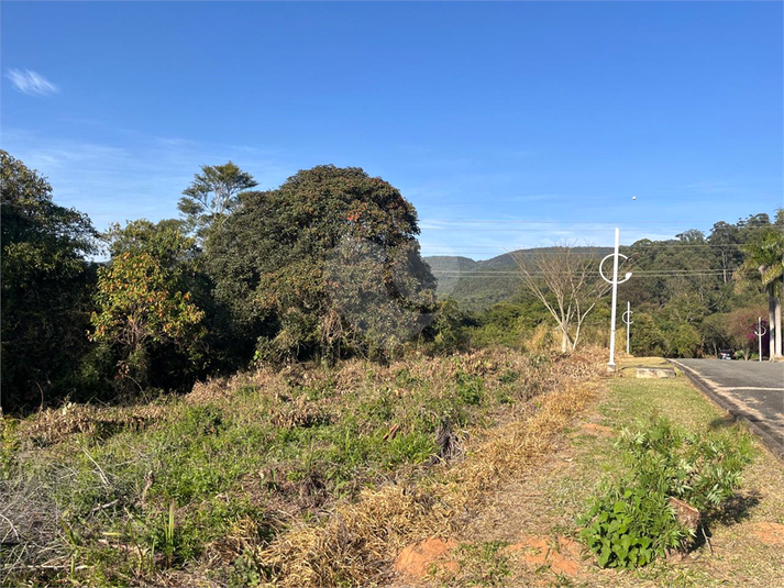 Foto REO1119317
