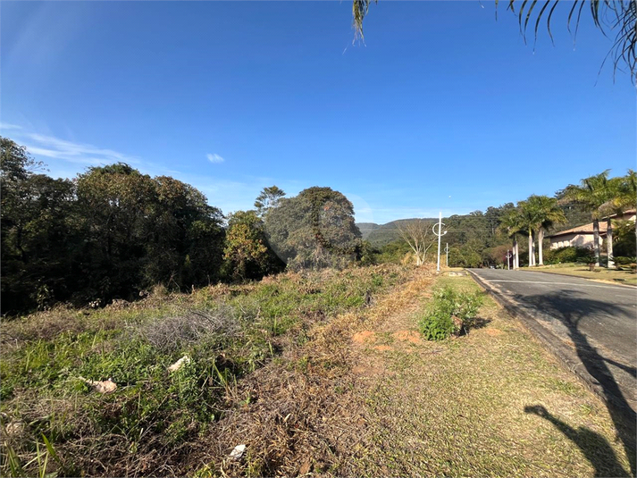 Foto REO1119317