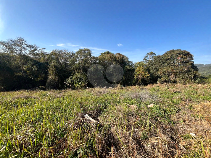 Foto REO1119317