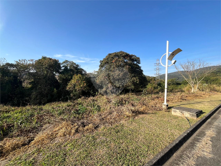Foto REO1119317