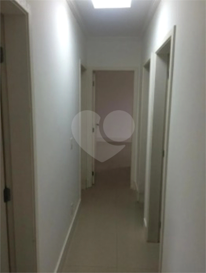 Foto REO1119321