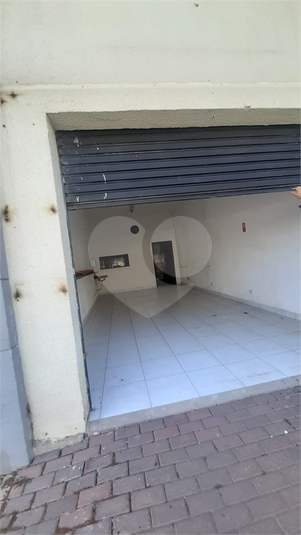 Foto REO1119326