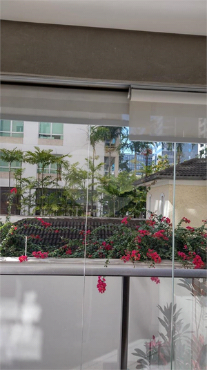 Foto REO1119327
