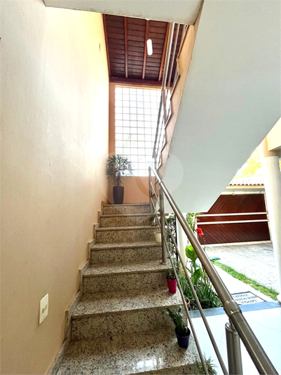 Foto REO1119339