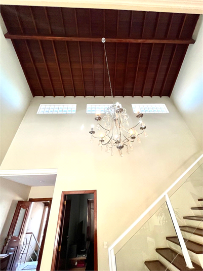 Foto REO1119339