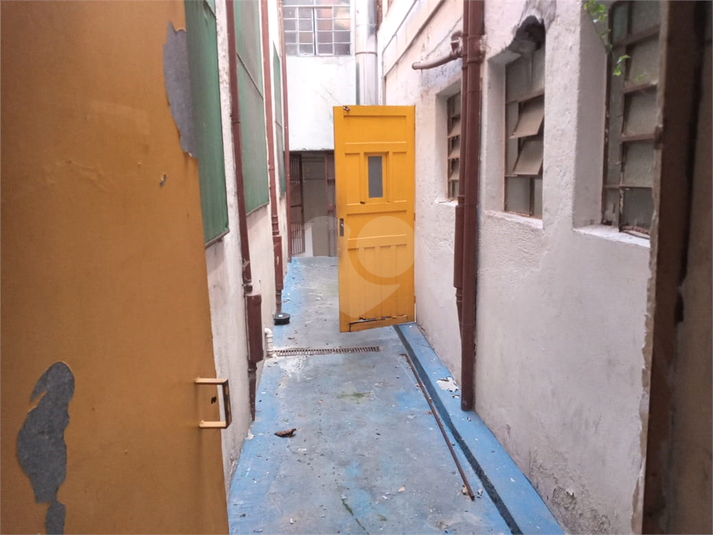Foto REO1119350