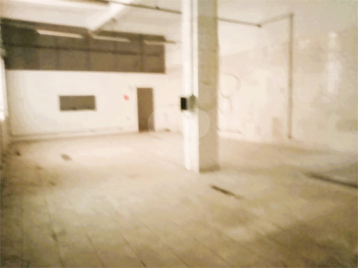 Foto REO1119350