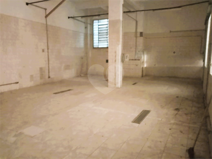 Foto REO1119350