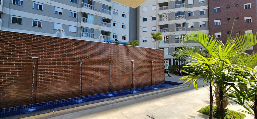 Foto REO1119353