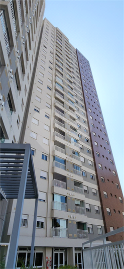 Foto REO1119353