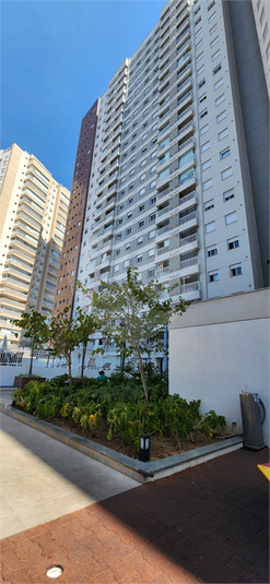 Foto REO1119353