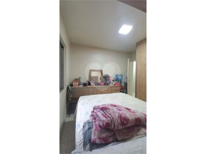 Foto REO1119354