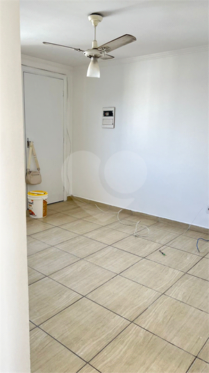 Foto REO1119355