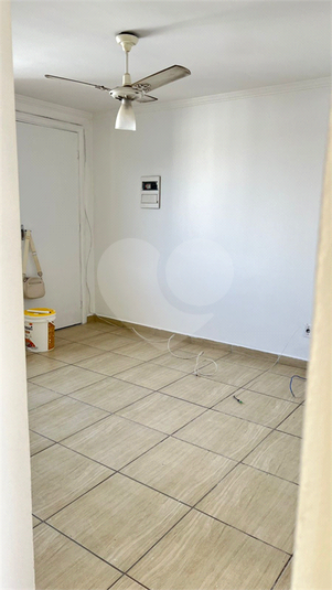 Foto REO1119355