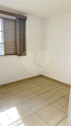 Foto REO1119355