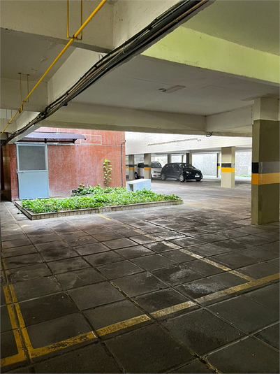 Foto REO1119356