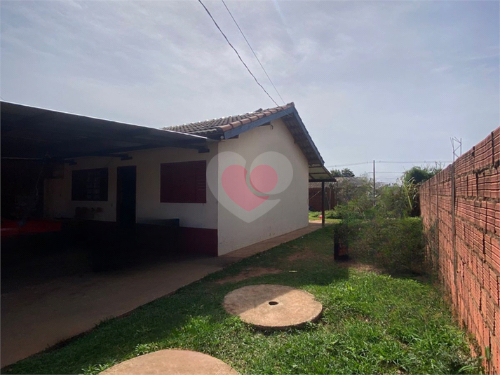 Foto REO1119361