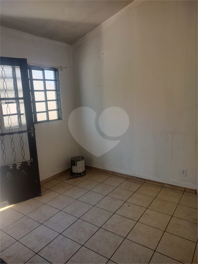 Foto REO1119366