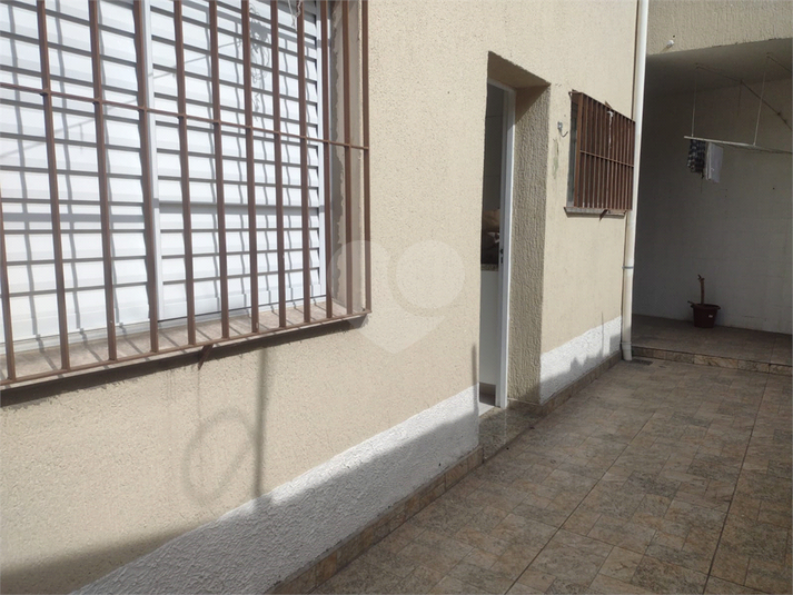 Foto REO1119373