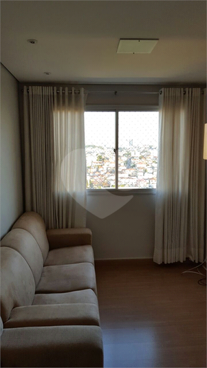 Foto REO1119376