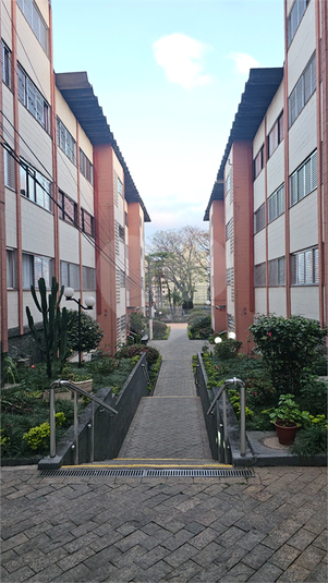 Foto REO1119378