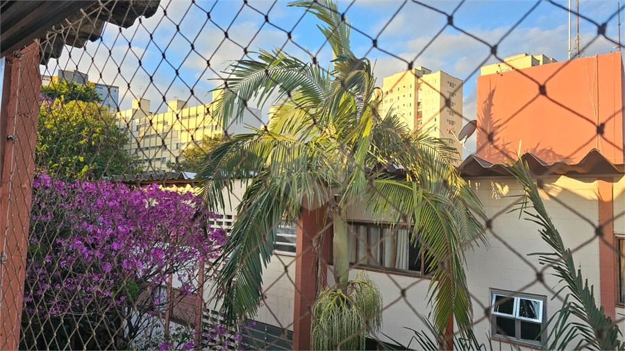 Foto REO1119378