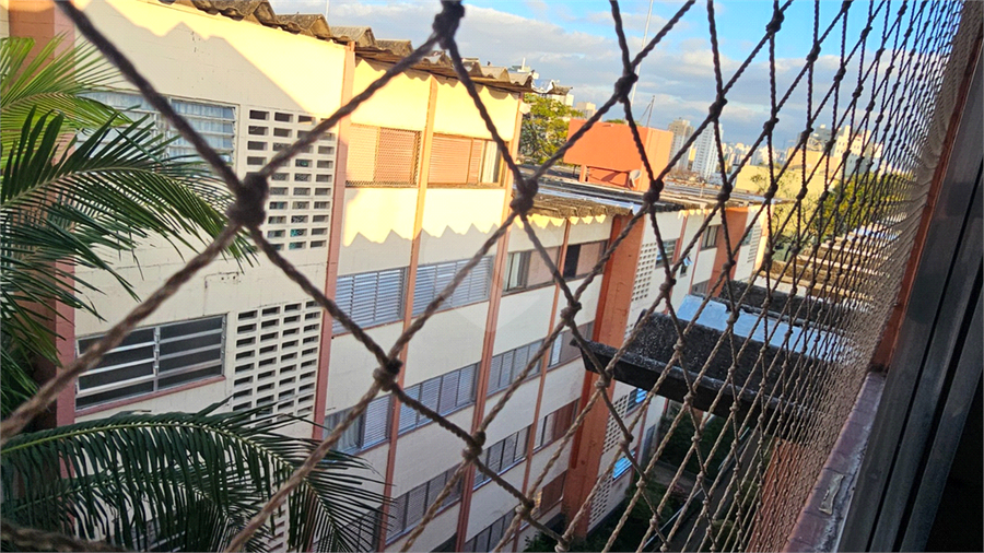Foto REO1119378