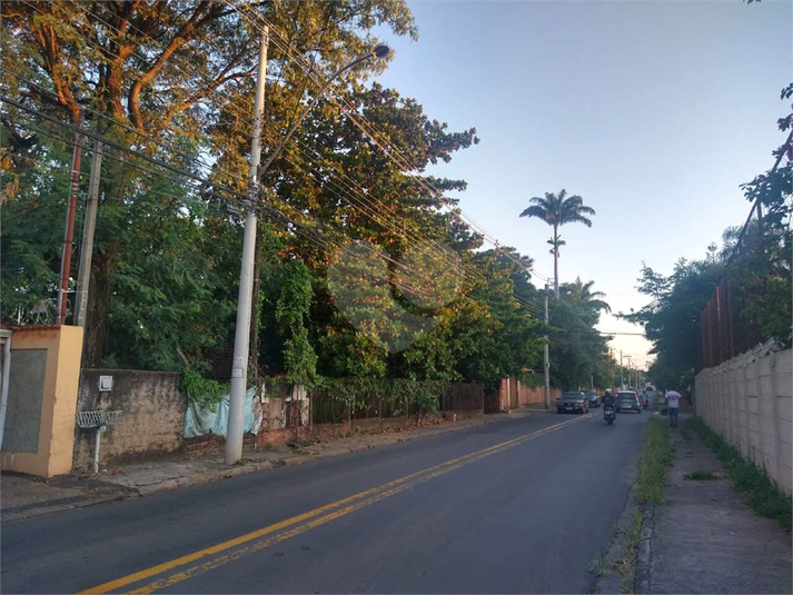 Foto REO1119379