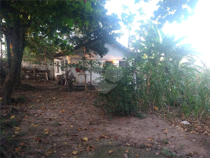 Foto REO1119379