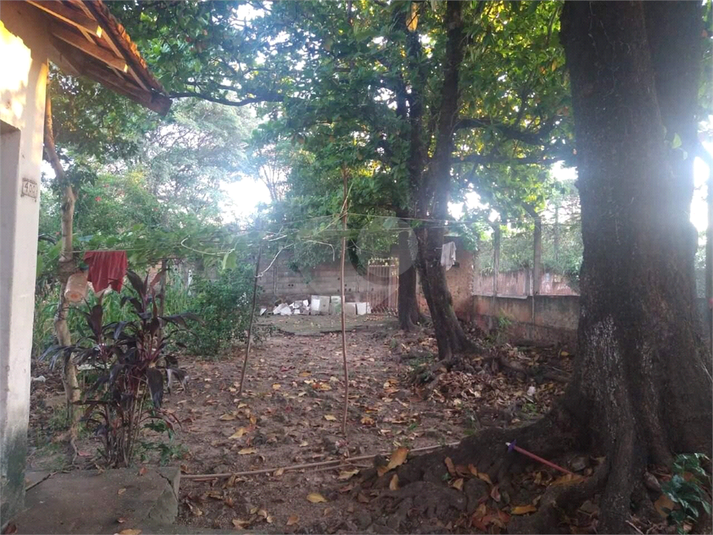 Foto REO1119379