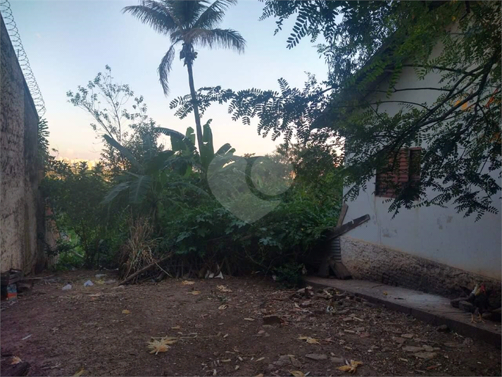 Foto REO1119379