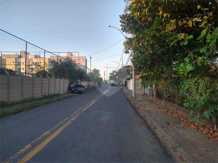 Foto REO1119379