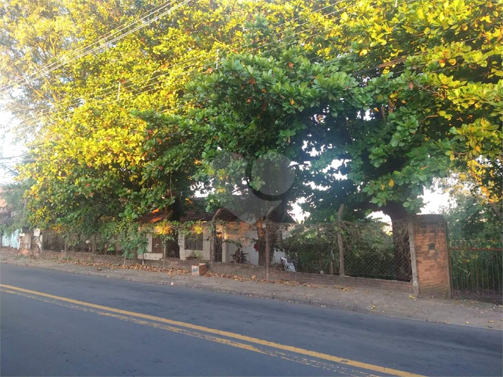 Foto REO1119379