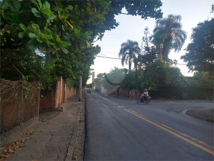 Foto REO1119379