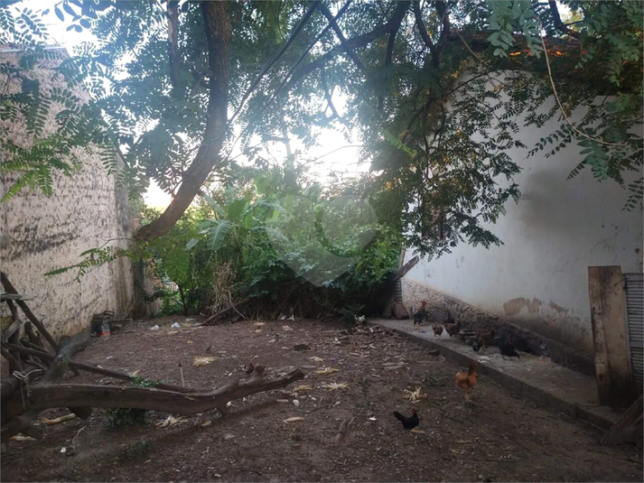 Foto REO1119379