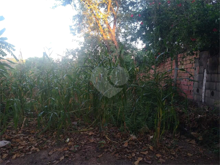 Foto REO1119379
