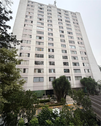 Foto REO1119380