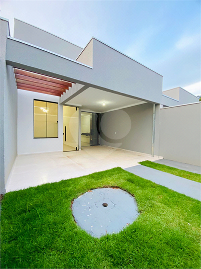Foto REO1119387
